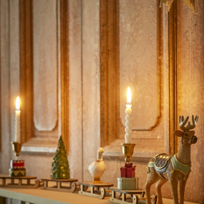 Rentier Weihnachtszug