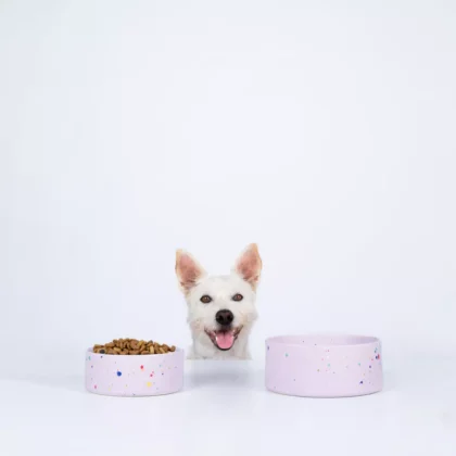 Futternapf 2er Set 16,5cm