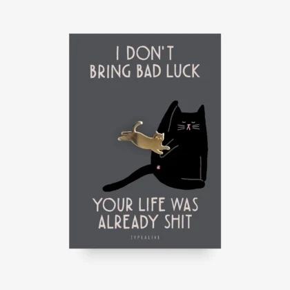 Bad Luck Cat Pin